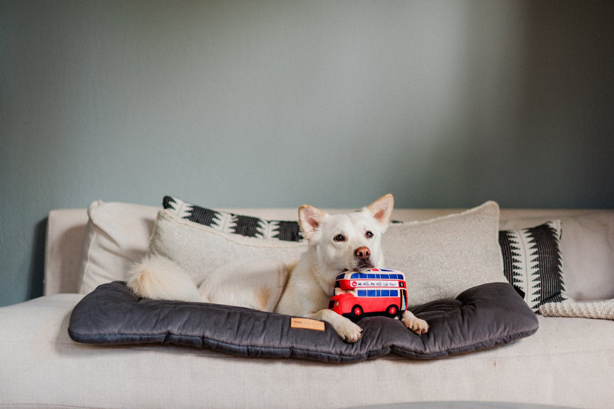 Canine Commute London Bus dog toy - Pet Supplier Store