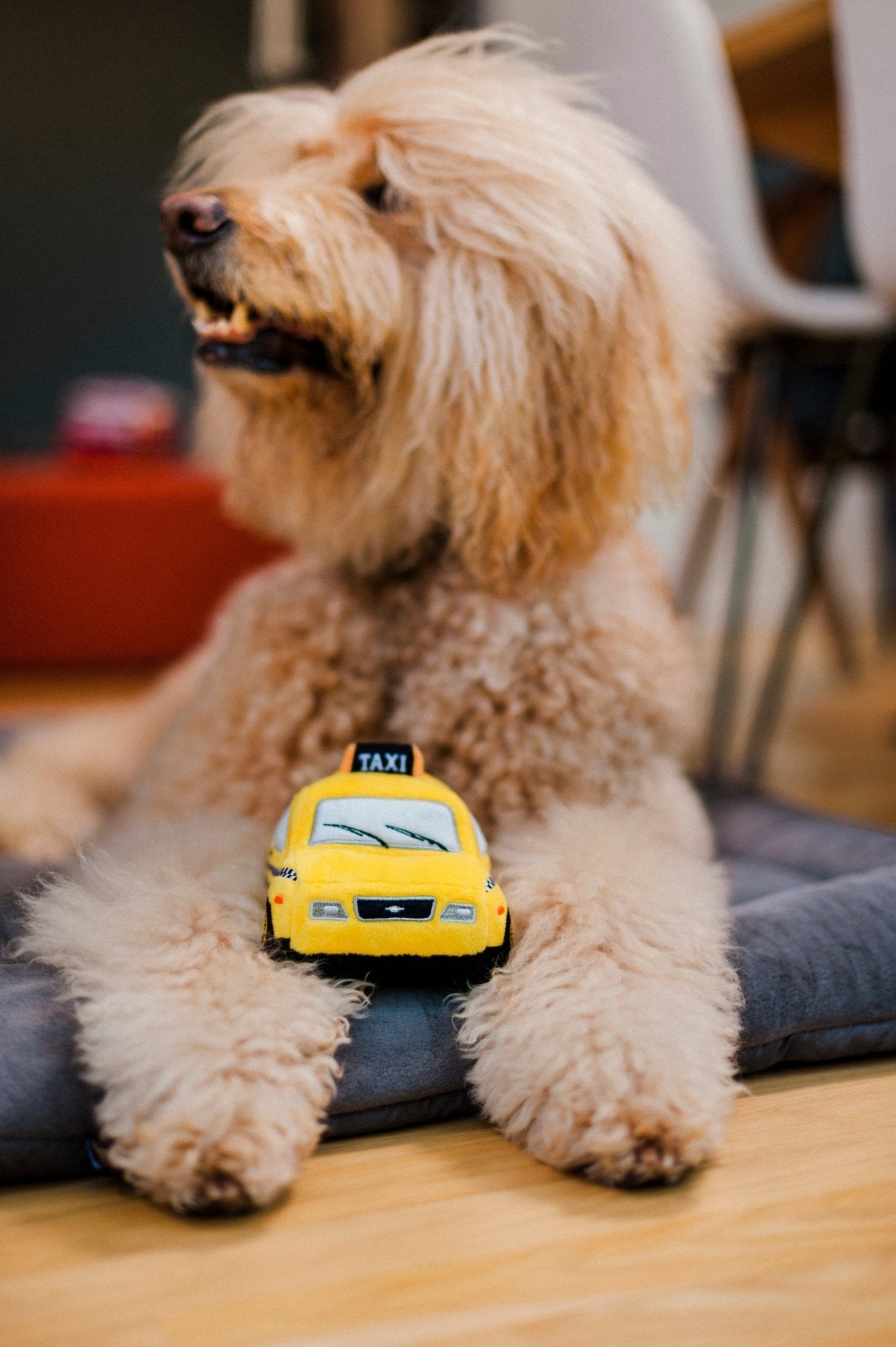 Canine Commute New Yap City Taxi dog toy - Pet Supplier Store