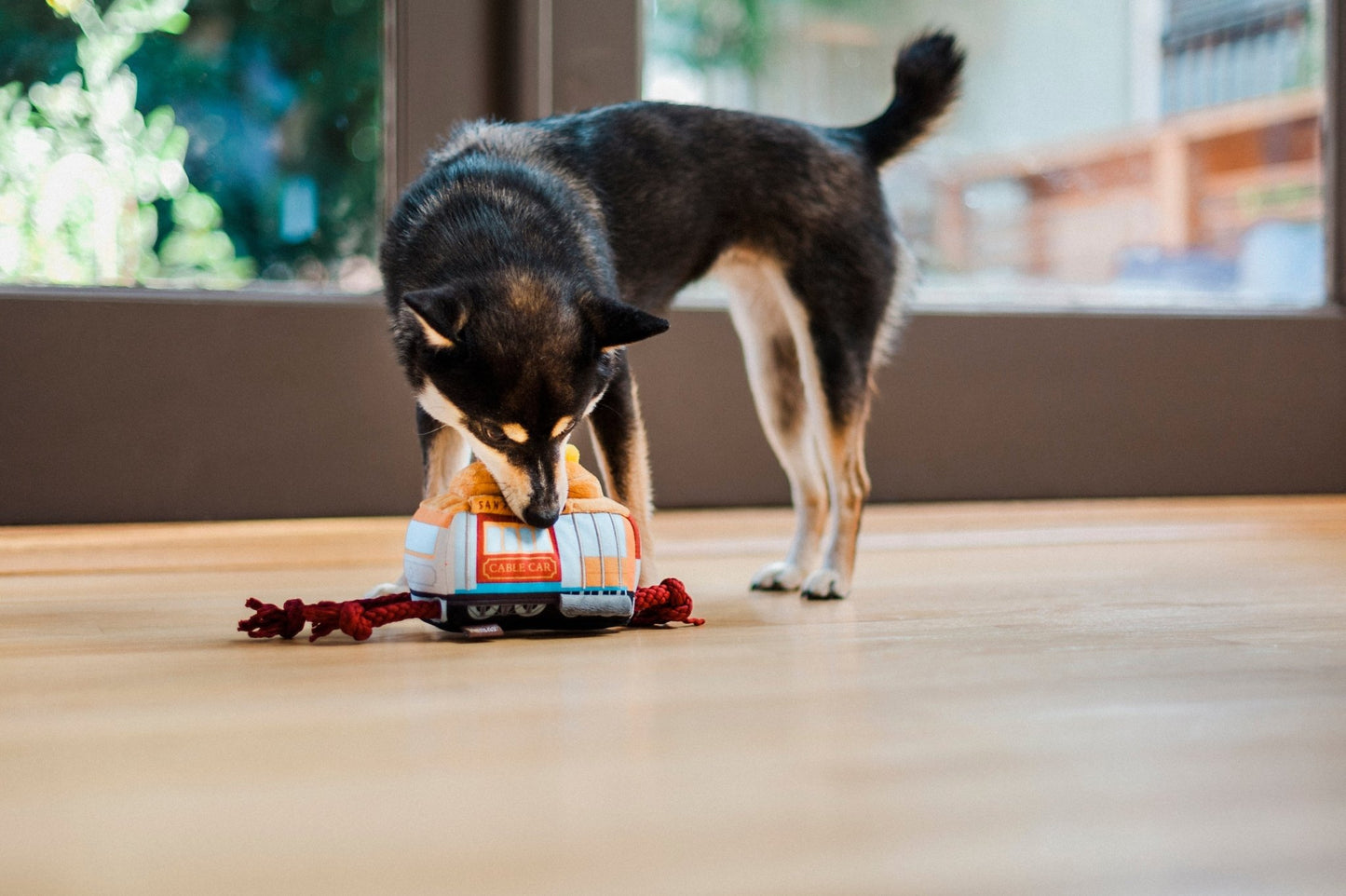 Canine Commute San Pup cisco Cable Car dog toy - Pet Supplier Store