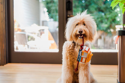 Canine Commute San Pup cisco Cable Car dog toy - Pet Supplier Store
