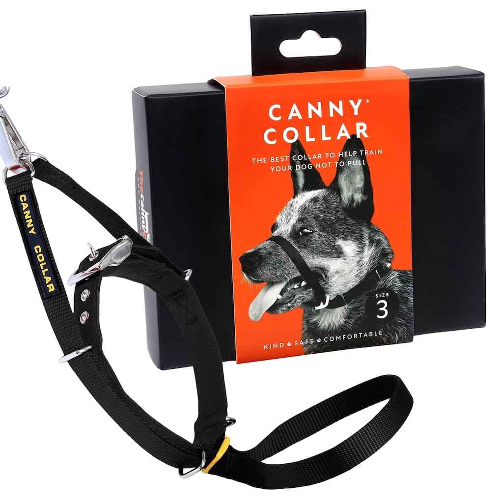Canny Collar - Pet Supplier Store
