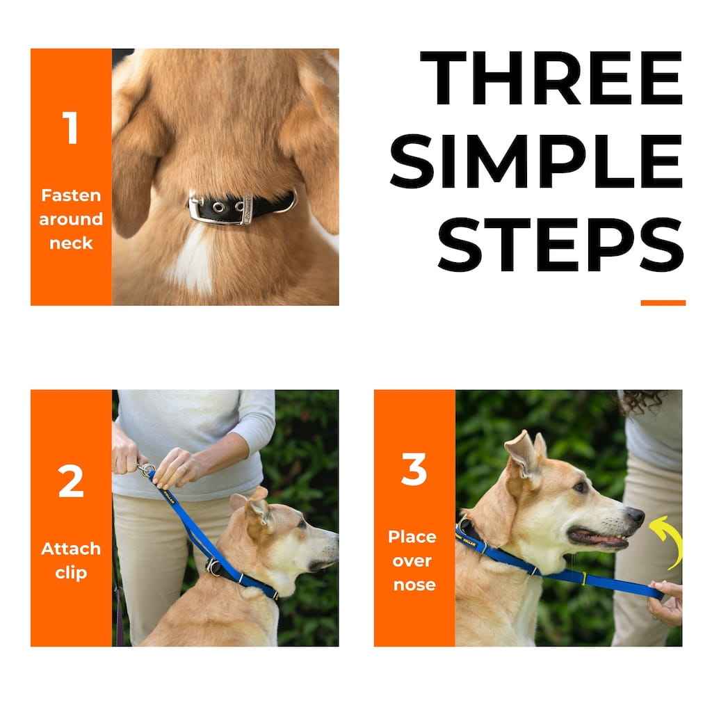 Canny Collar - Pet Supplier Store
