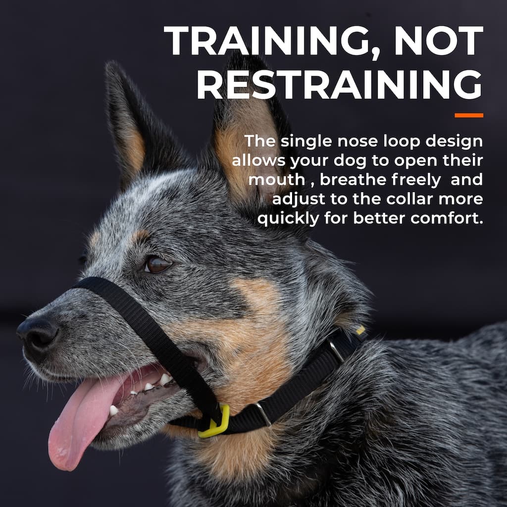Canny Collar - Pet Supplier Store
