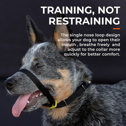 Canny Collar - Pet Supplier Store