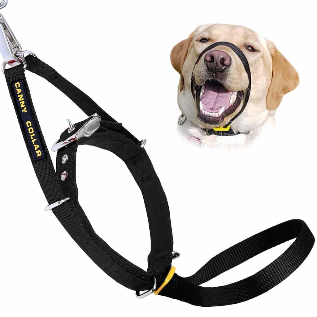 Canny Collar - Pet Supplier Store