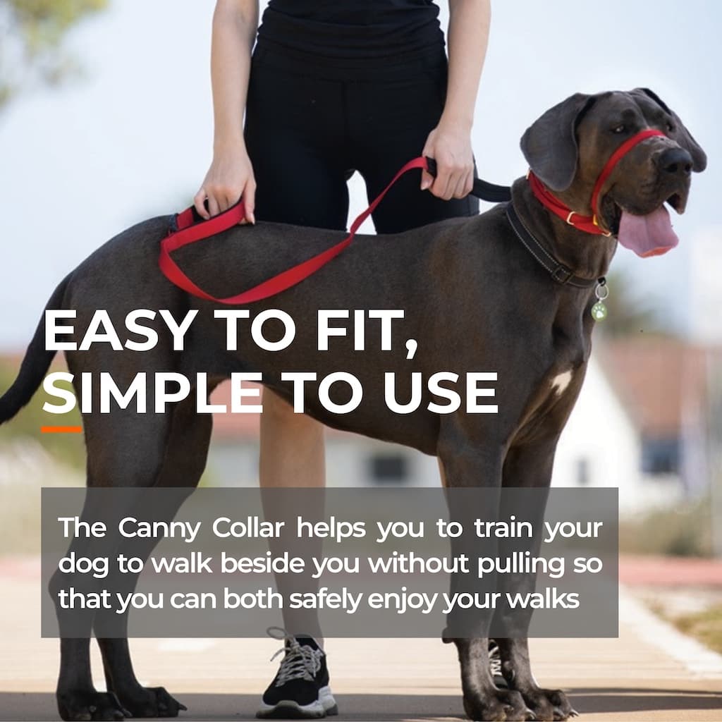 Canny Collar - Pet Supplier Store