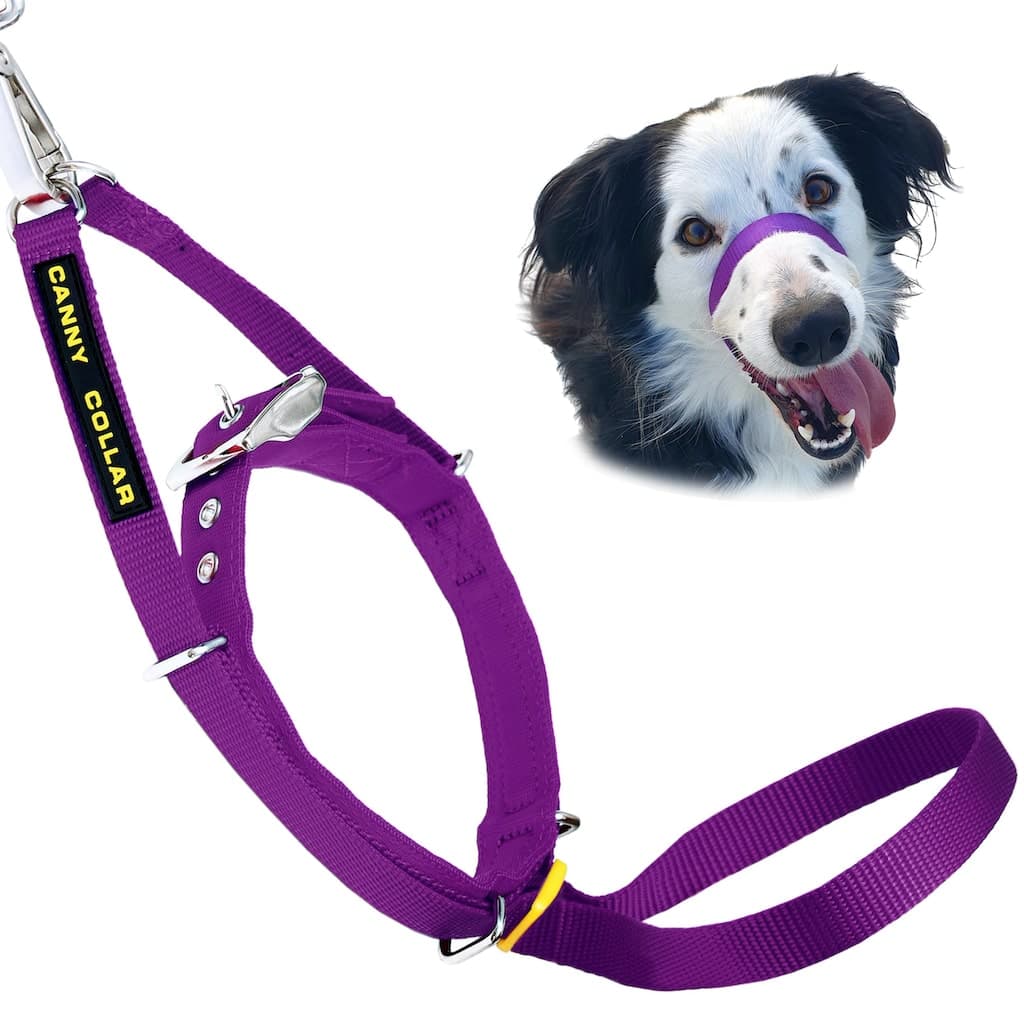 Canny Collar - Pet Supplier Store