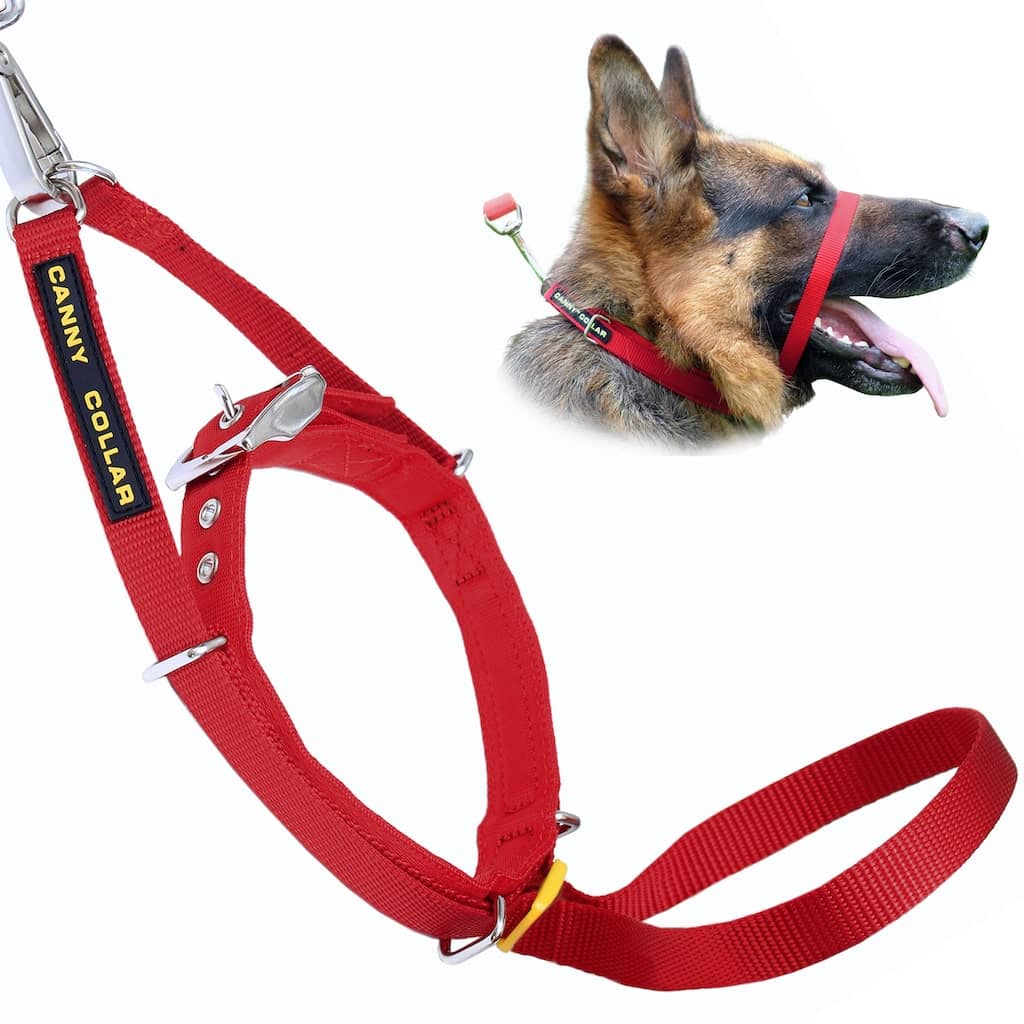 Canny Collar - Pet Supplier Store