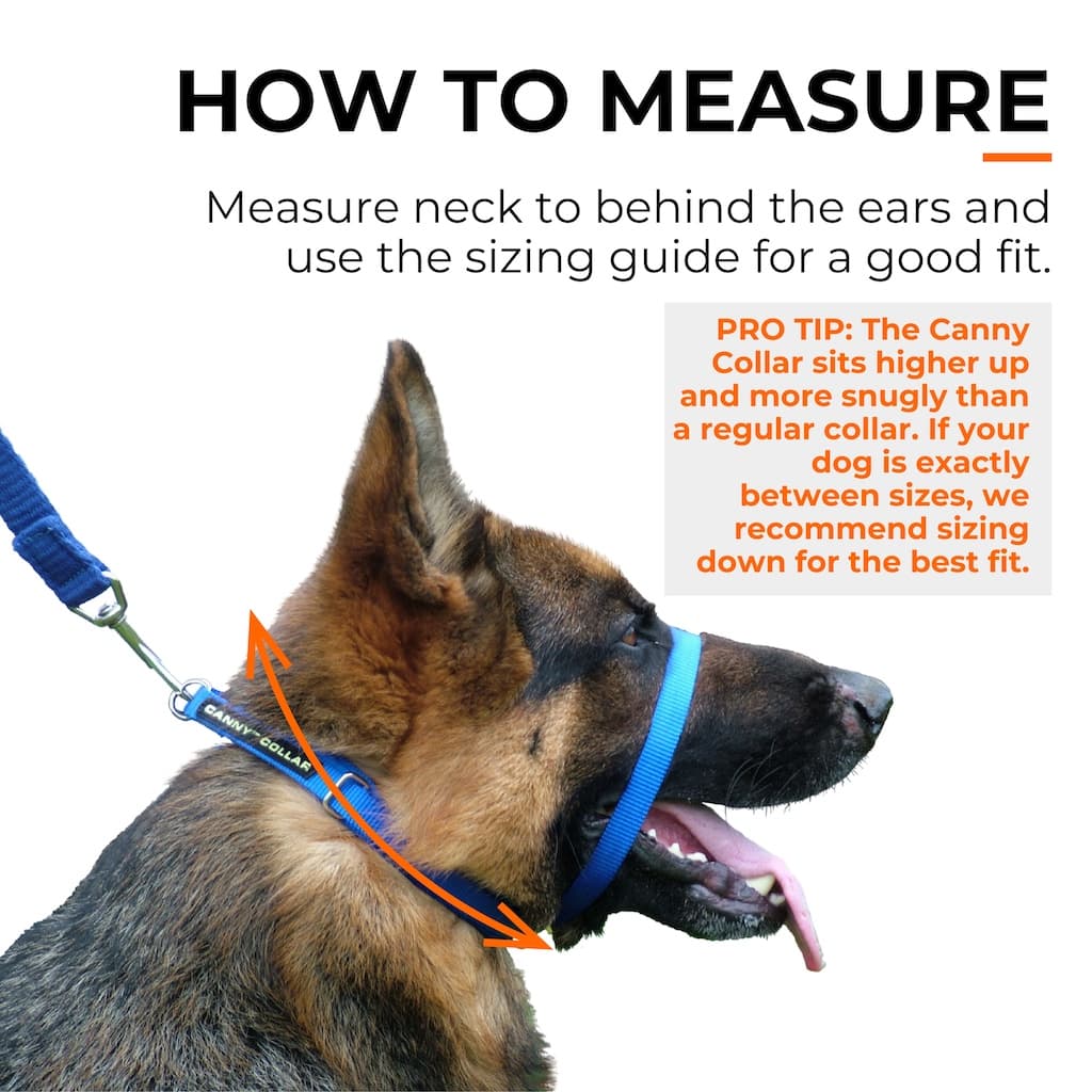 Canny Collar - Pet Supplier Store
