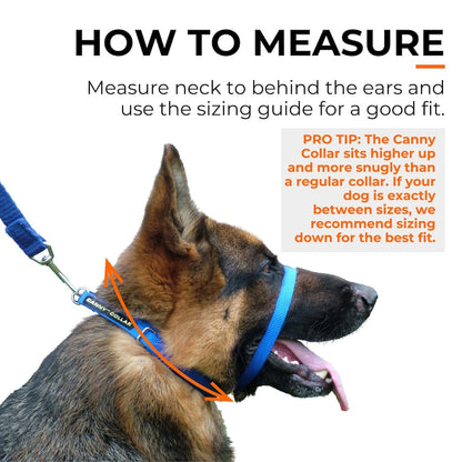 Canny Collar - Pet Supplier Store