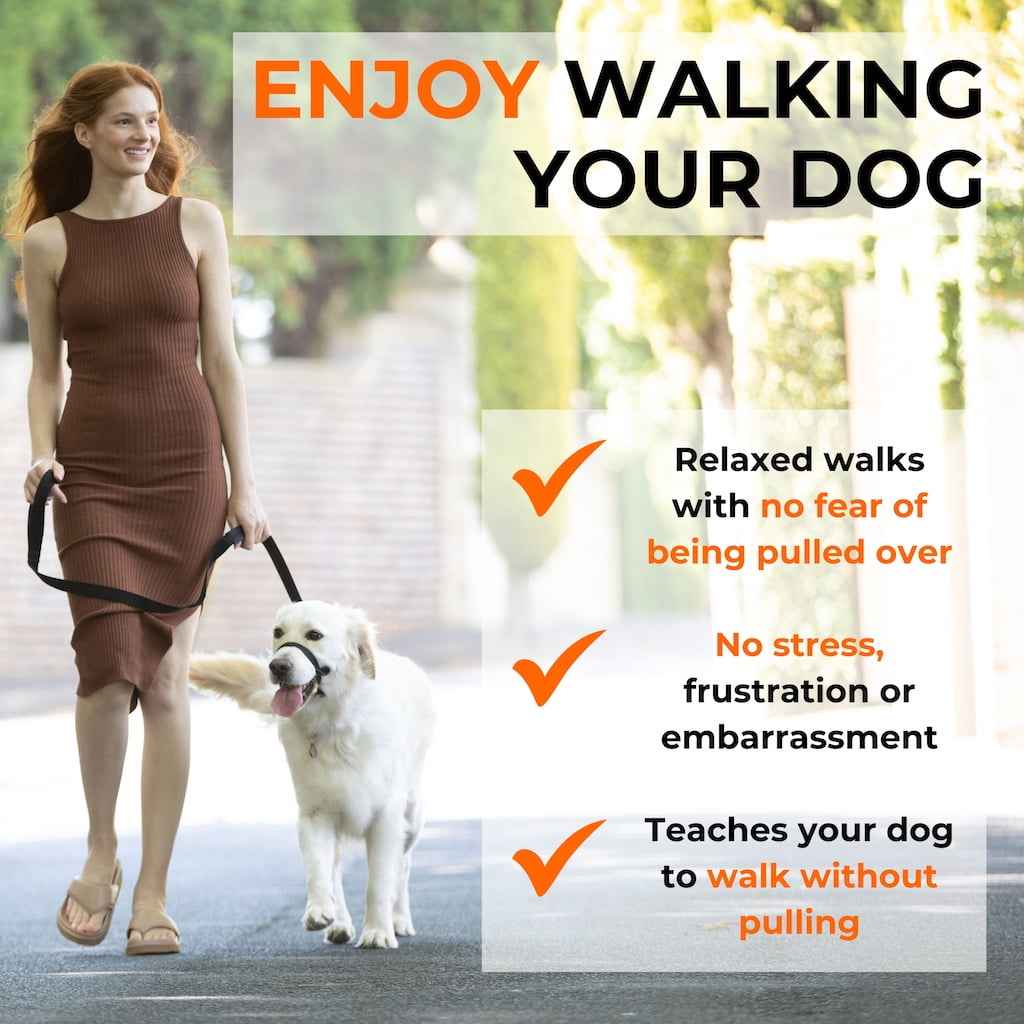 Canny Collar - Pet Supplier Store