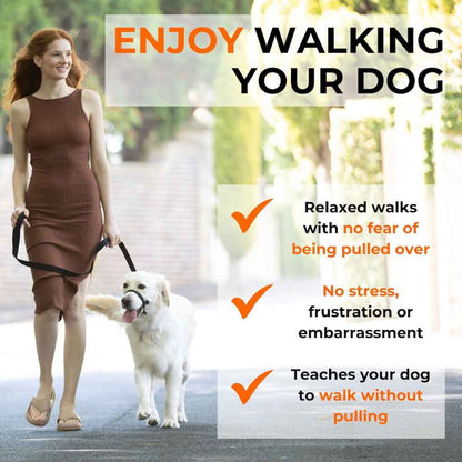 Canny Collar - Pet Supplier Store