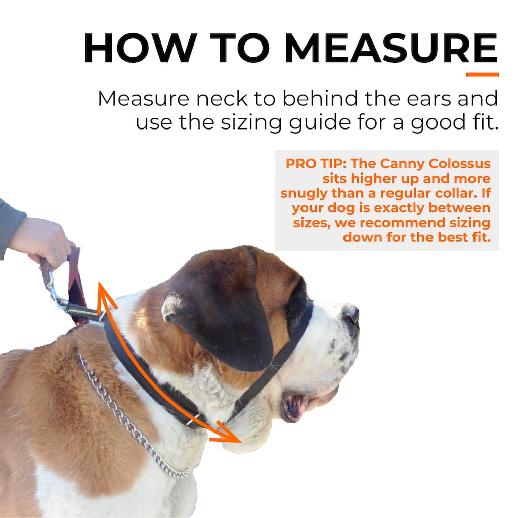 Canny Colossus - Pet Supplier Store