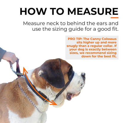 Canny Colossus - Pet Supplier Store