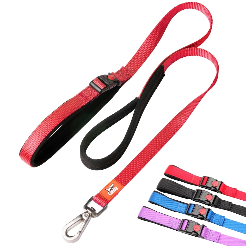 Canny CONNECT Lockable Lead - Pet Supplier Store
