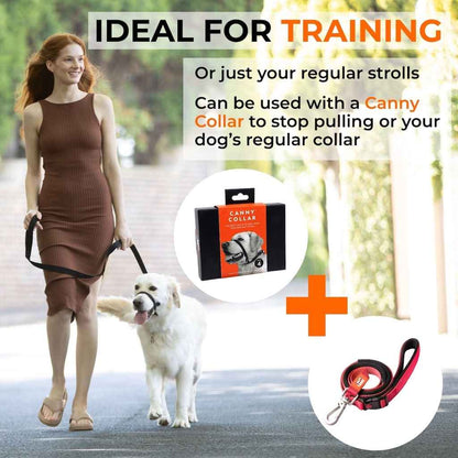 Canny CONNECT Lockable Lead - Pet Supplier Store