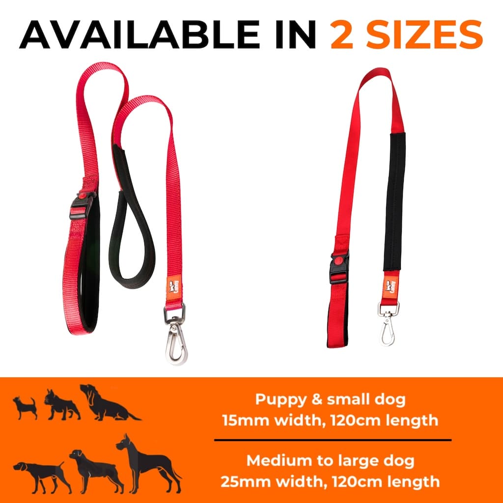 Canny CONNECT Lockable Lead - Pet Supplier Store