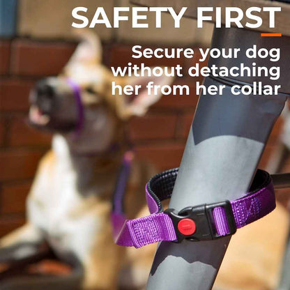 Canny CONNECT Lockable Lead - Pet Supplier Store
