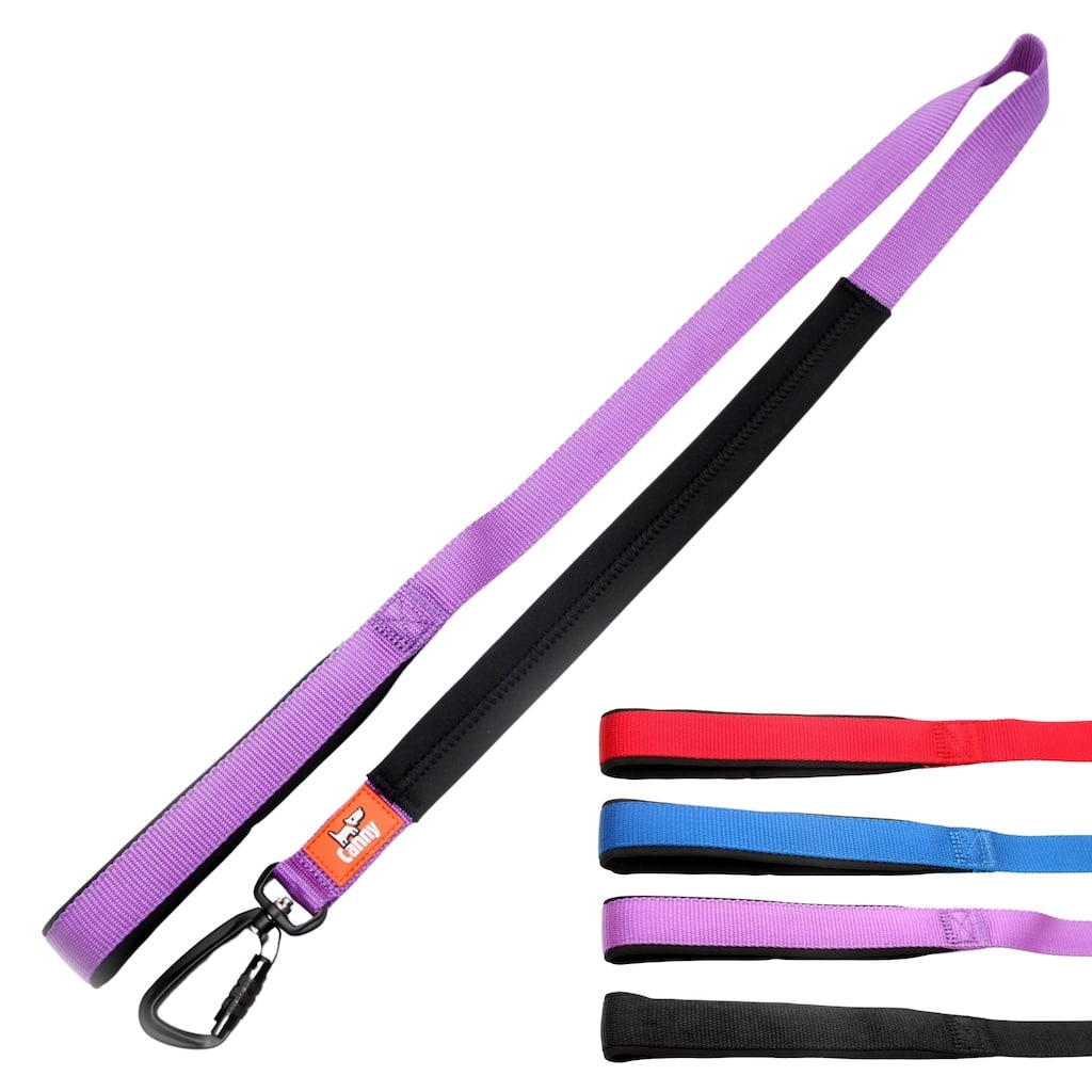 Canny Lead - Pet Supplier Store