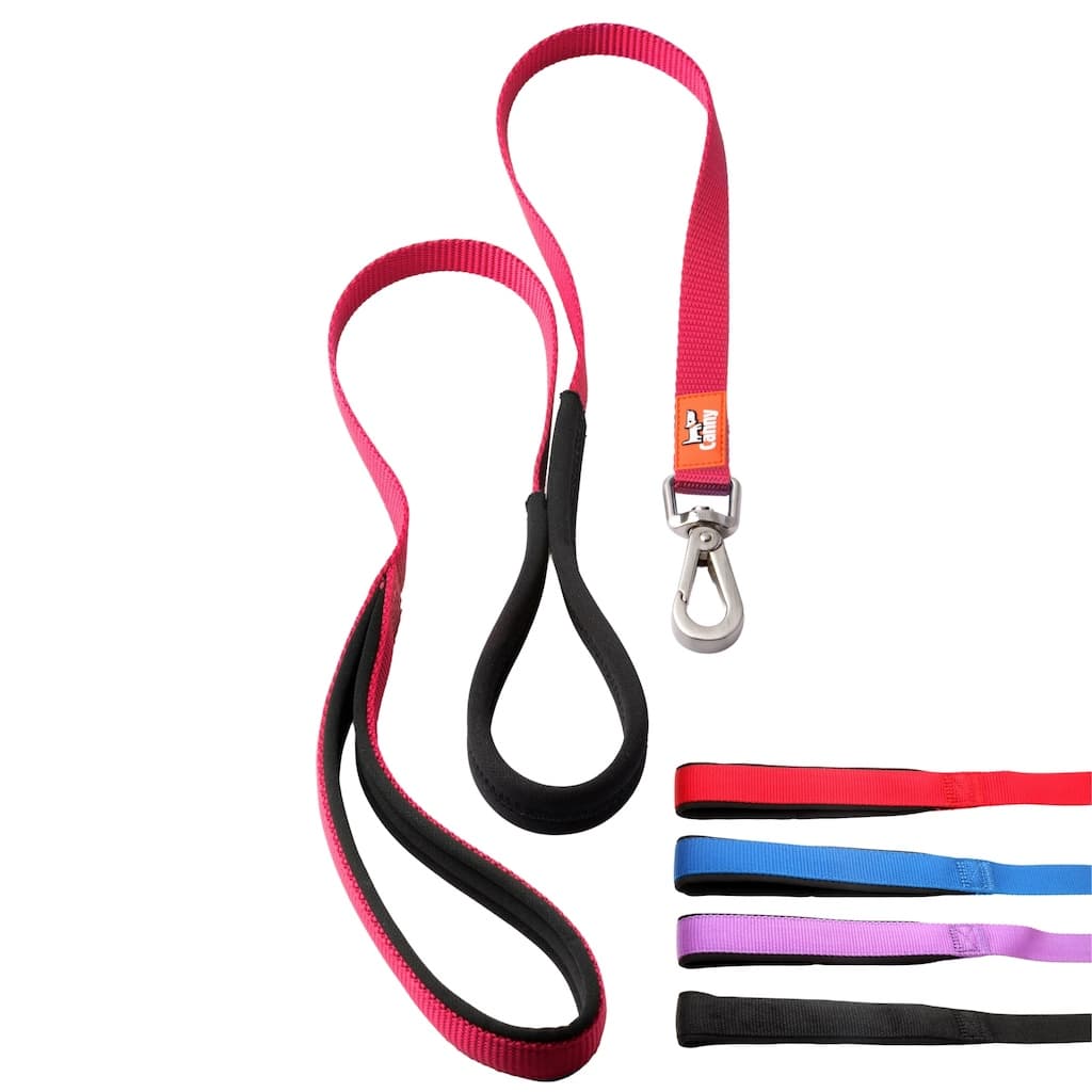 Canny Lead - Pet Supplier Store