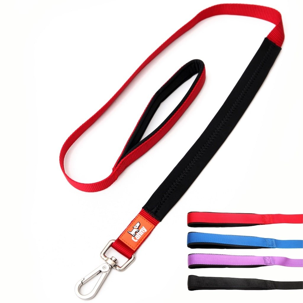Canny Lead - Pet Supplier Store