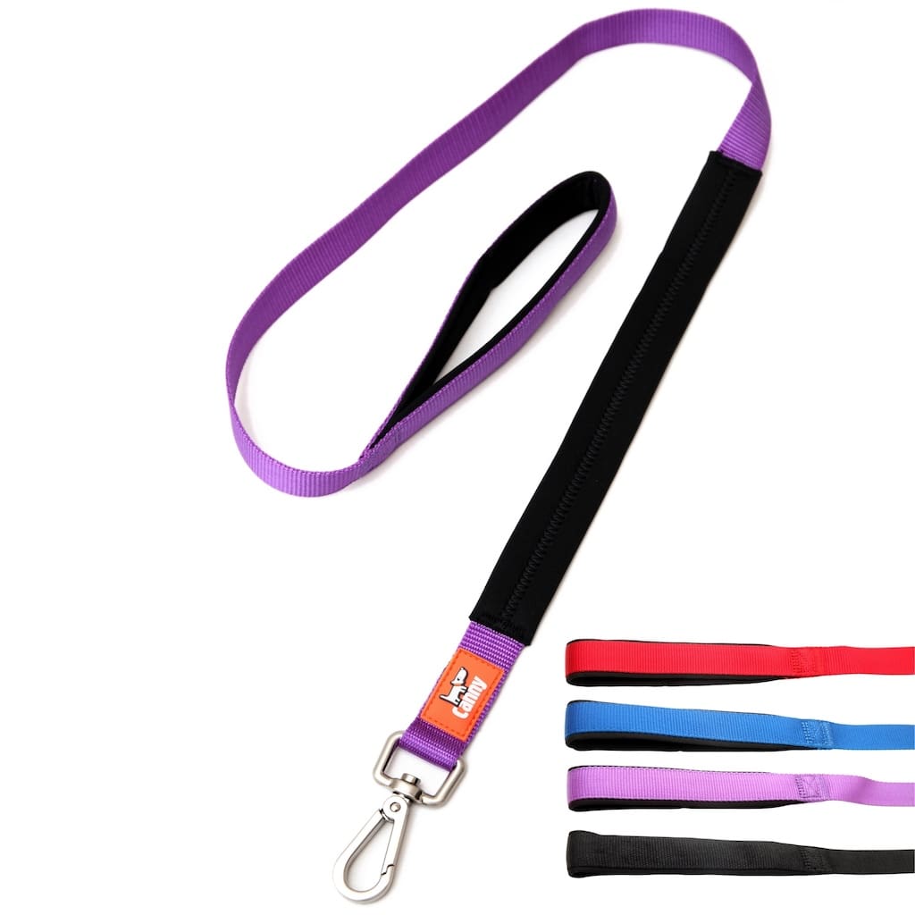 Canny Lead - Pet Supplier Store