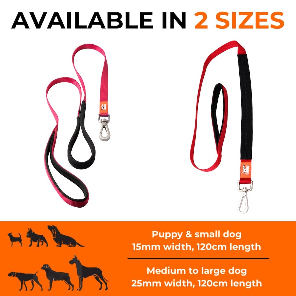 Canny Lead - Pet Supplier Store
