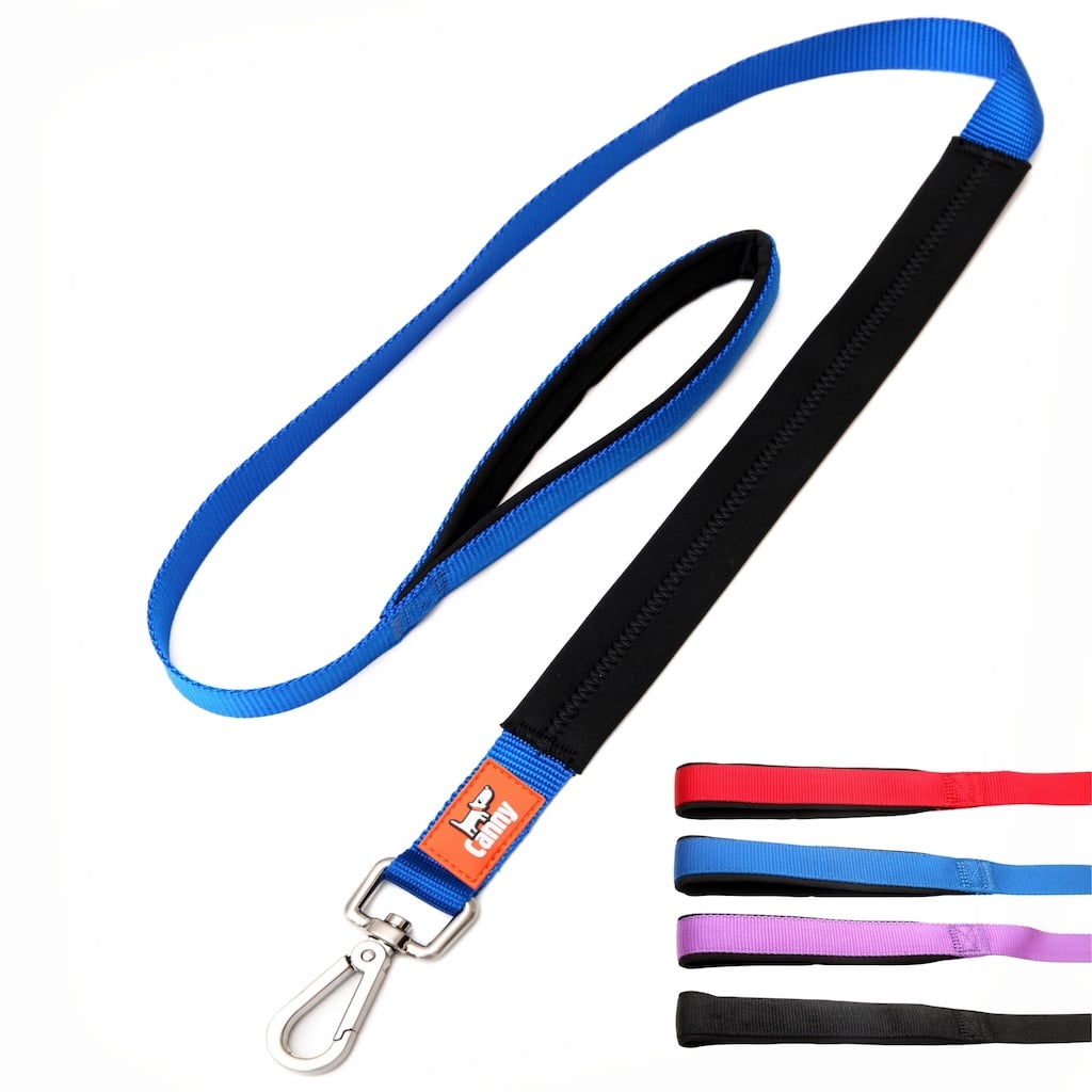 Canny Lead - Pet Supplier Store