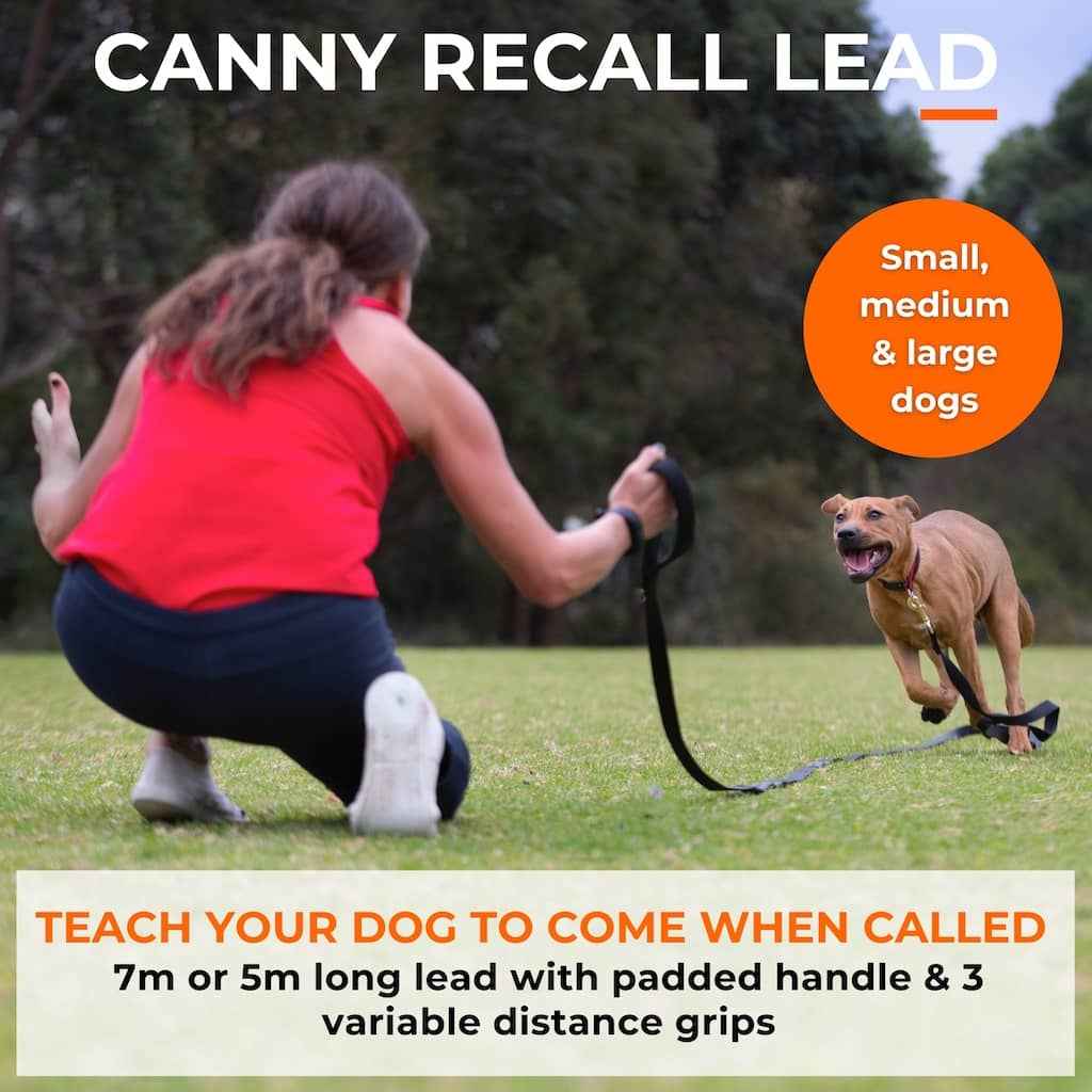 Canny Long Training Line - Pet Supplier Store