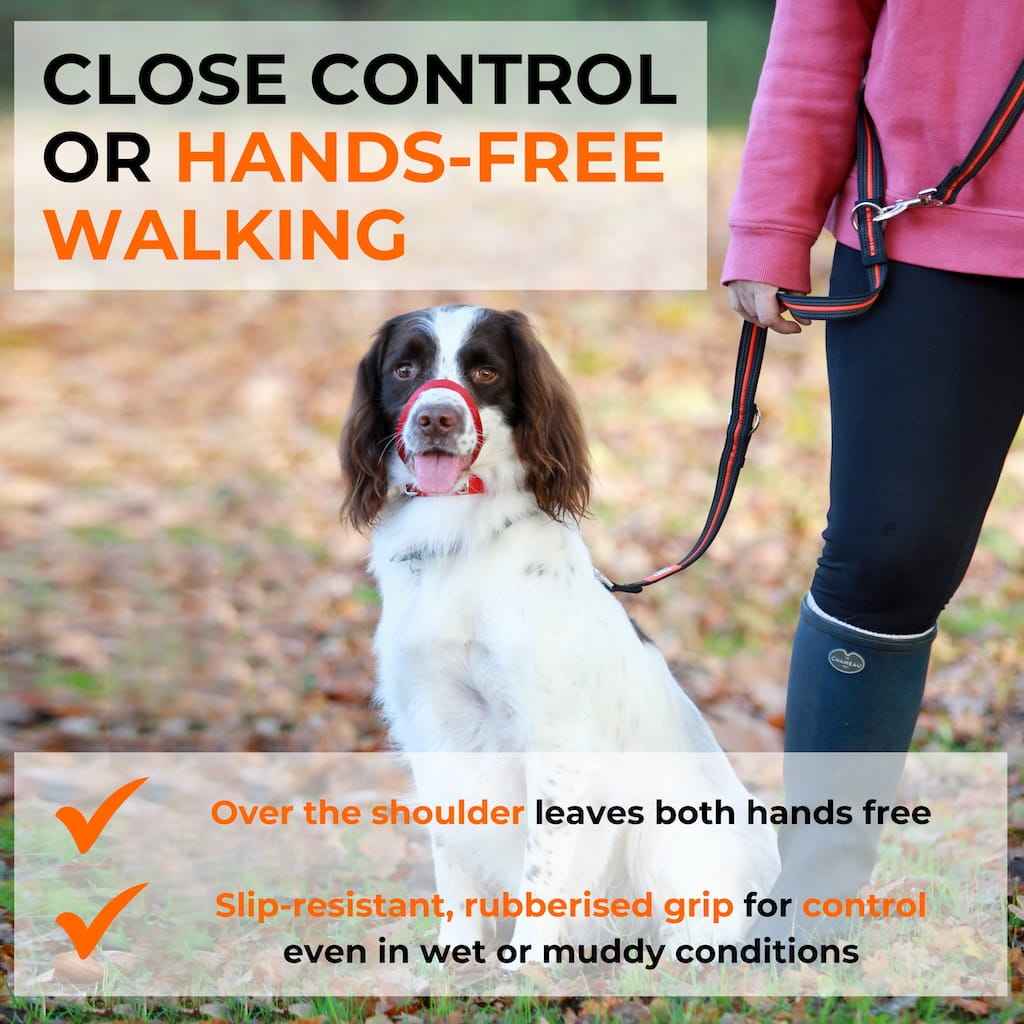Canny Training Lead - Pet Supplier Store