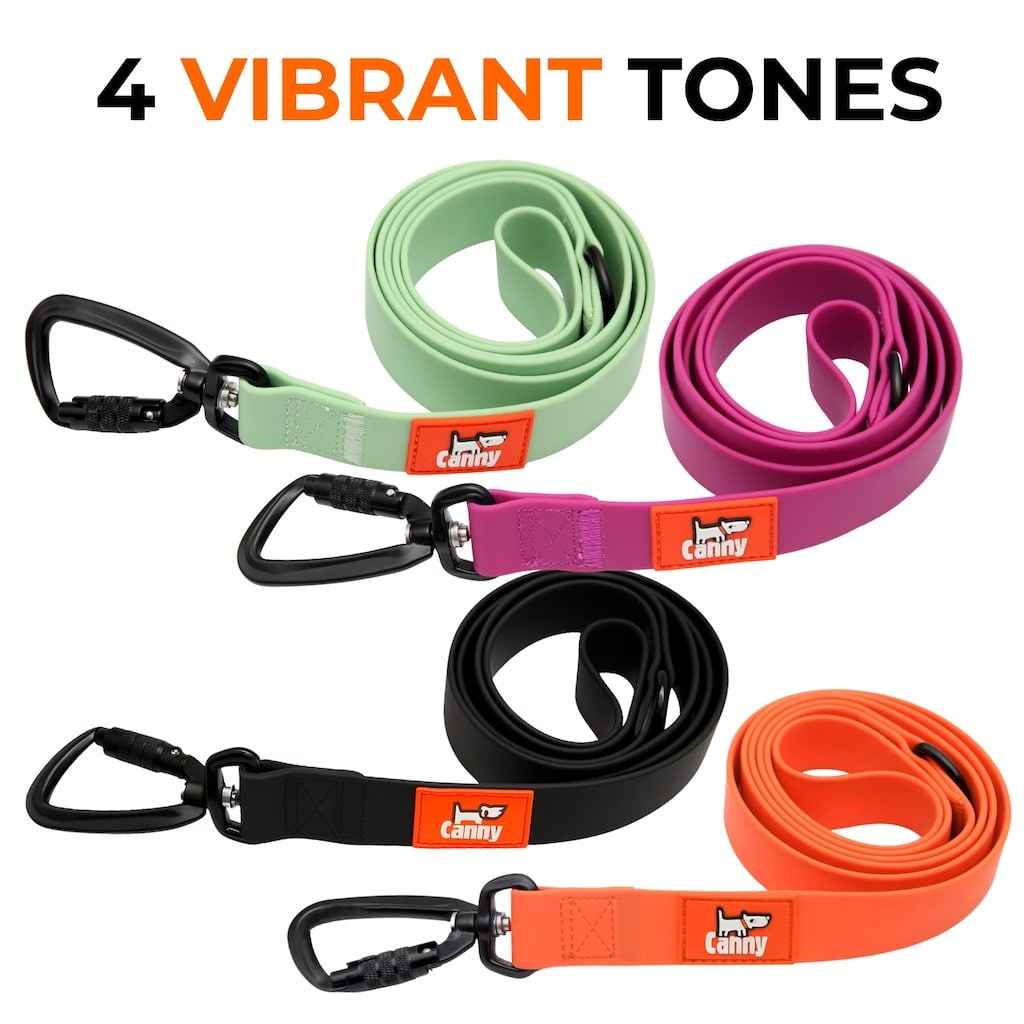 Canny Waterproof Lead - Pet Supplier Store