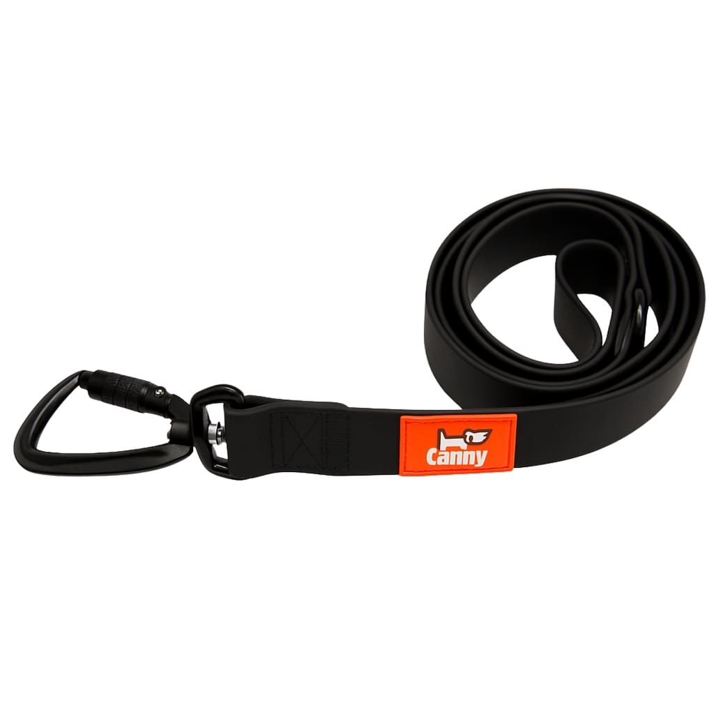 Canny Waterproof Lead - Pet Supplier Store