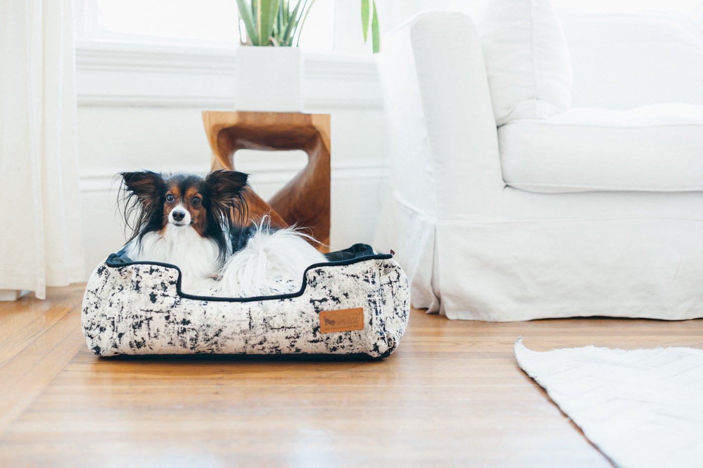 Celestial Night Sky Lounge Bed - Pet Supplier Store