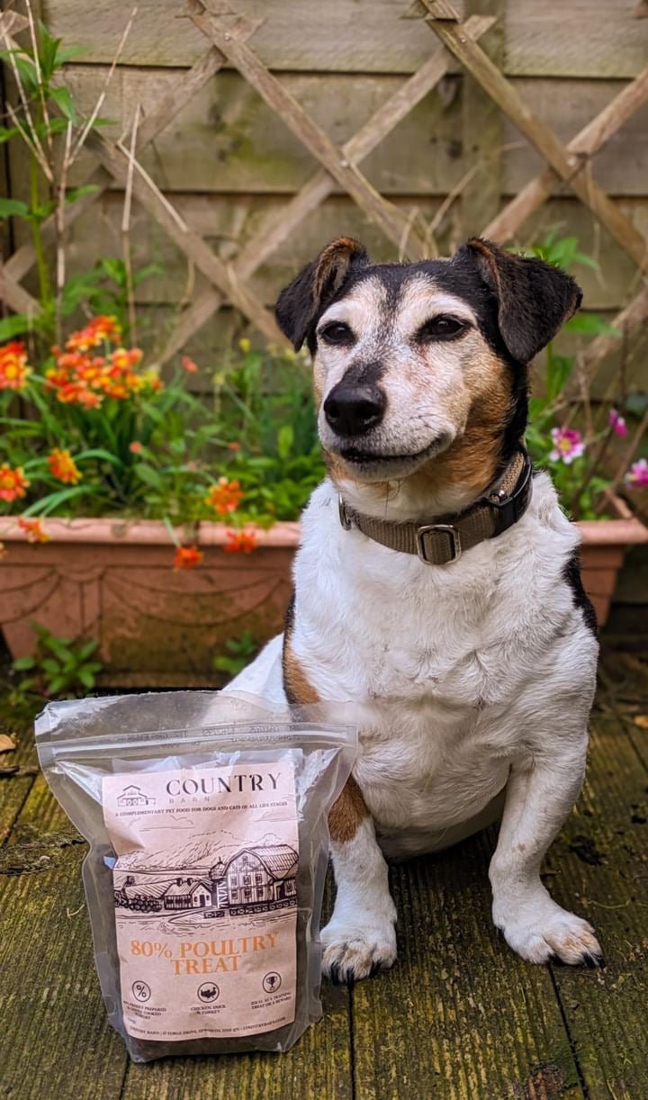 Chicken, Duck & Turkey - Pet Supplier Store