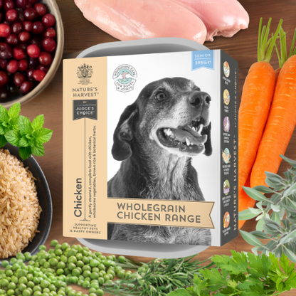 Chicken & Vegetables with Brown Rice - Senior - Pet Supplier Store