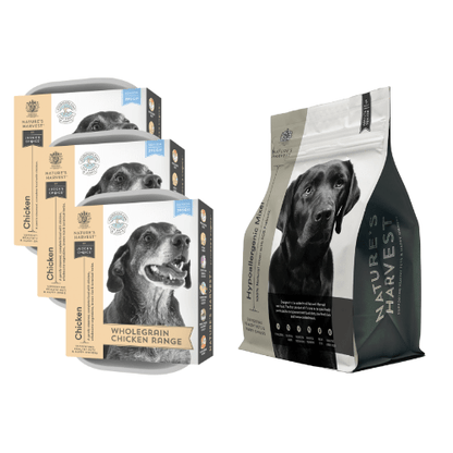 Chicken & Vegetables with Brown Rice - Senior - Pet Supplier Store