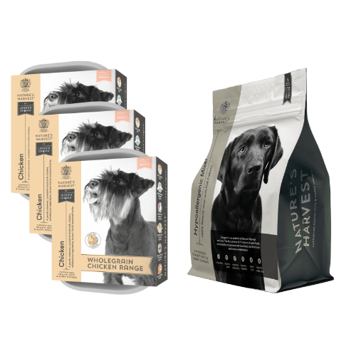 Chicken & Vegetables with Brown Rice Wet Dog Food - Adult - Pet Supplier Store