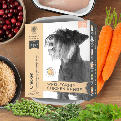 Chicken & Vegetables with Brown Rice Wet Dog Food - Adult - Pet Supplier Store