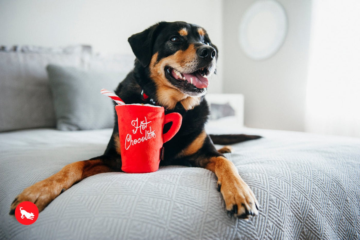 Christmas Hot Chocolate - Pet Supplier Store