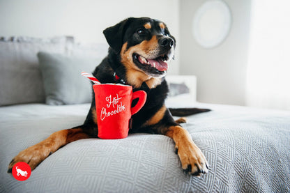 Christmas Hot Chocolate - Pet Supplier Store