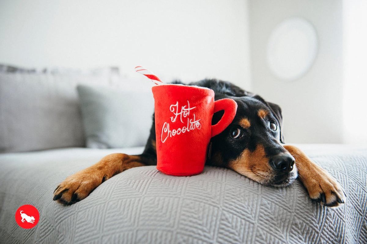 Christmas Hot Chocolate - Pet Supplier Store