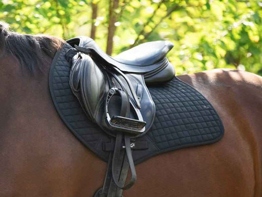 Close Contact GP Saddle Pad Black - Pet Supplier Store