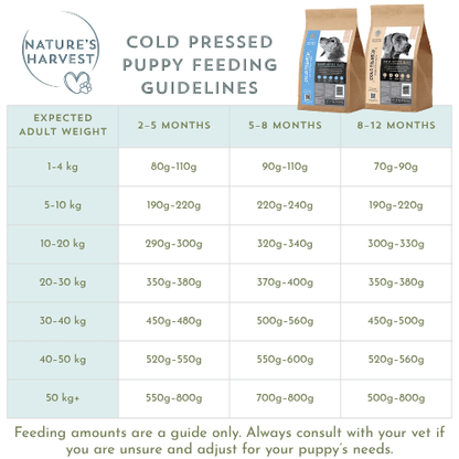 Cold Pressed Chicken and Sweet Potato 3KG Hypoallergenic Dog Food - Raw Made Easy - Pet Supplier Store