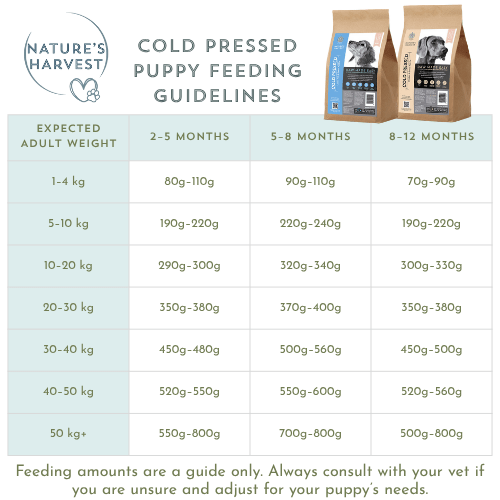 Cold Pressed Ocean Fish and Sweet Potato 3KG Hypoallergenic Dog Food - Raw Made Easy - Pet Supplier Store