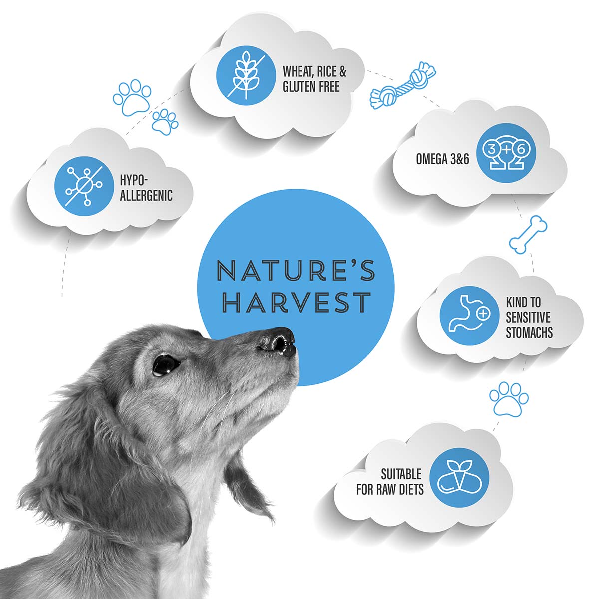 Cold Pressed Ocean Fish and Sweet Potato 3KG Hypoallergenic Dog Food - Raw Made Easy - Pet Supplier Store