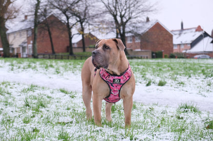 Comfort Harness Pink Camo - Pet Supplier Store