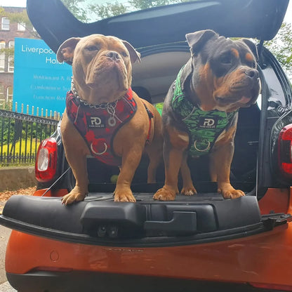 Comfort Harness Red Camo - Pet Supplier Store