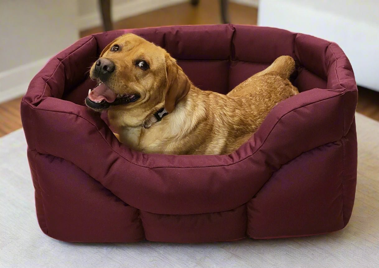 Country Dog Heavy Duty Rectangular High Sided Waterproof Dog Beds - Pet Supplier Store