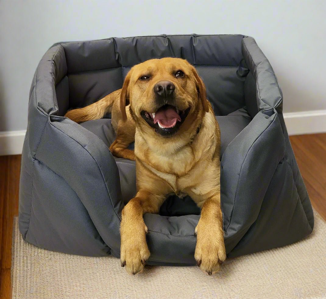 Country Dog Heavy Duty Rectangular High Sided Waterproof Dog Beds - Pet Supplier Store