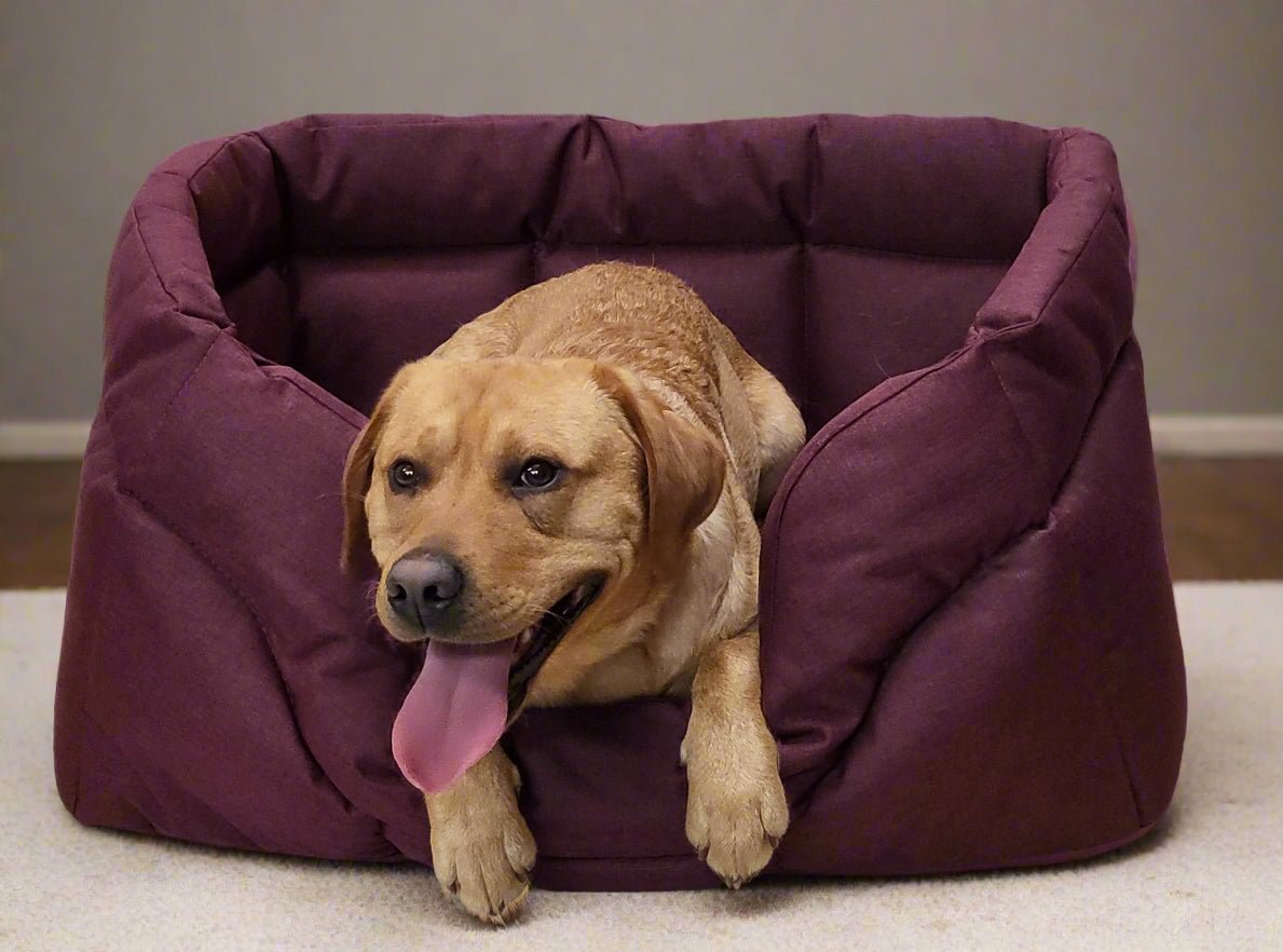 Country Dog Heavy Duty Rectangular High Sided Waterproof Dog Beds - Pet Supplier Store